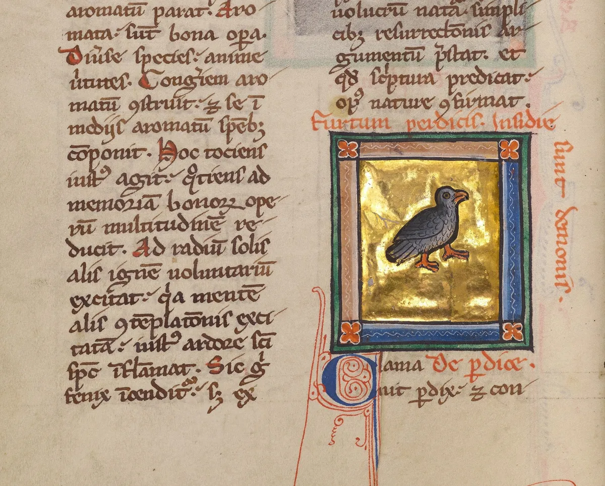 Partridge | Appearances in Scripture | Crusade Bible